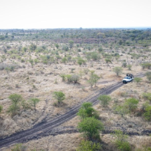 safariexperience7