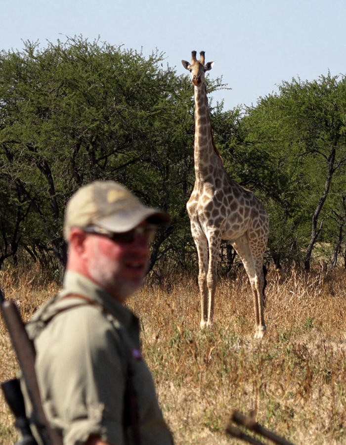 Welcome_Rosslyn_Safaris_img2 (1)
