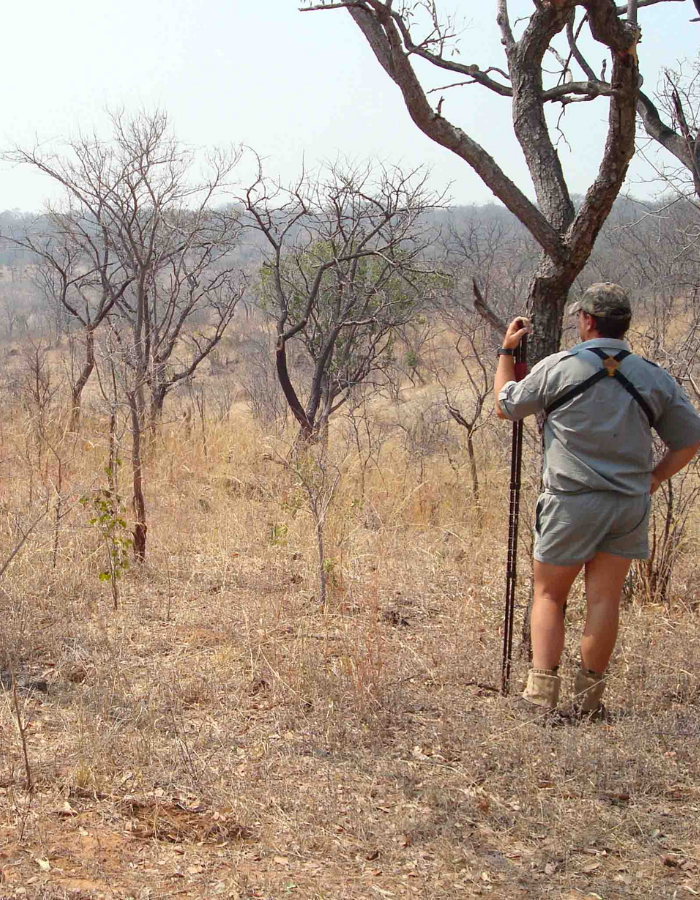 Welcome_Rosslyn_Safaris_img4 (1)